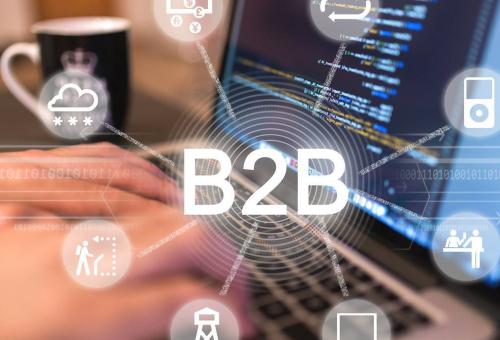 b2b电商搭建平台,b2b电商系统开发-数商云